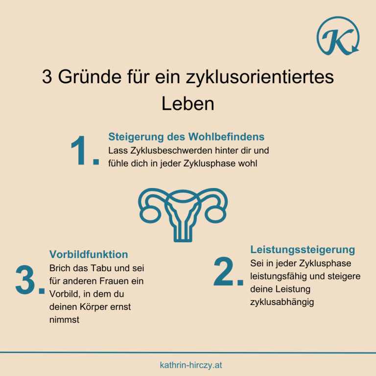 Zyklusleben